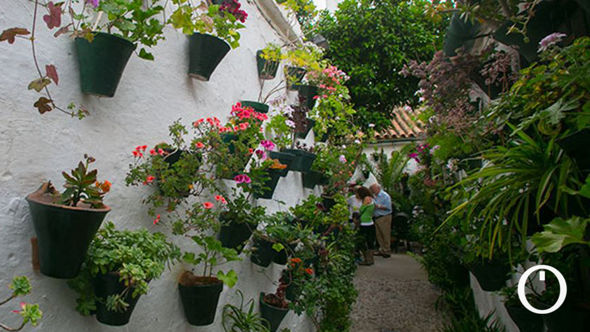 pozanco21