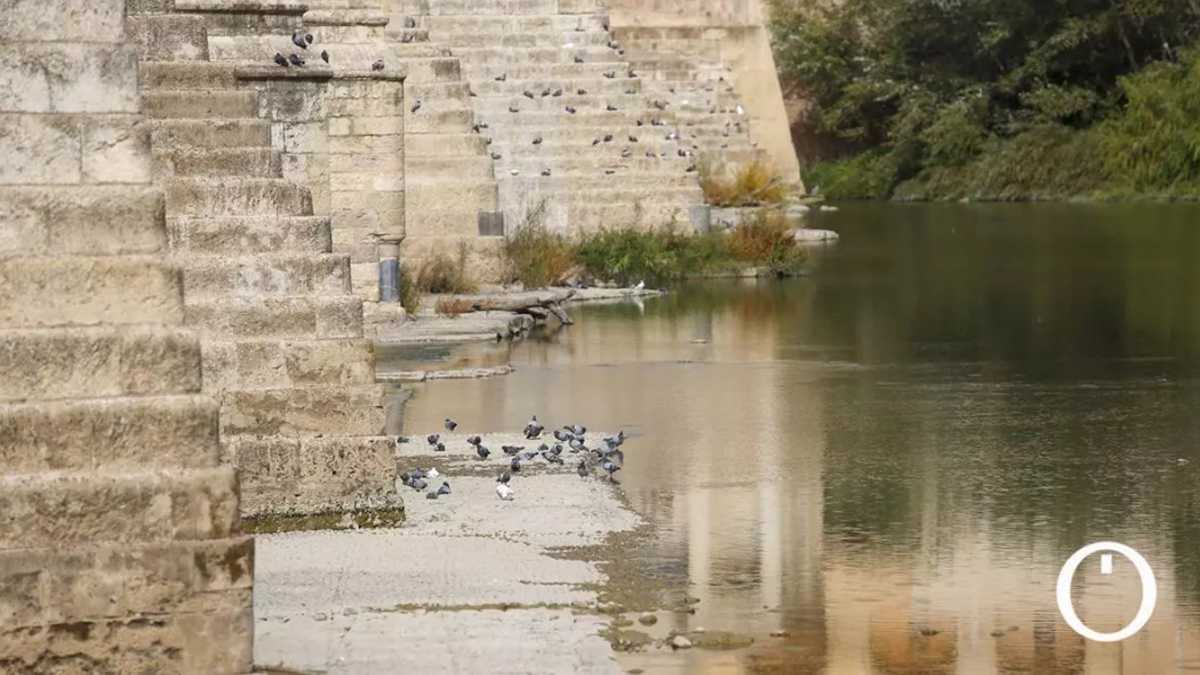sequia-guadalquivir-cordoba