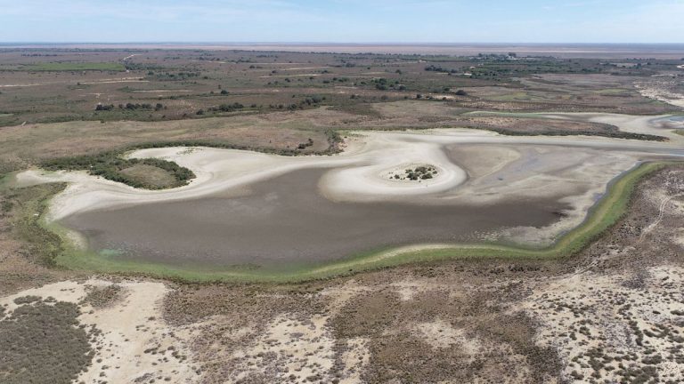 sequia-humedales-donana
