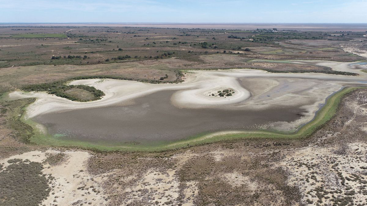 sequia-humedales-donana