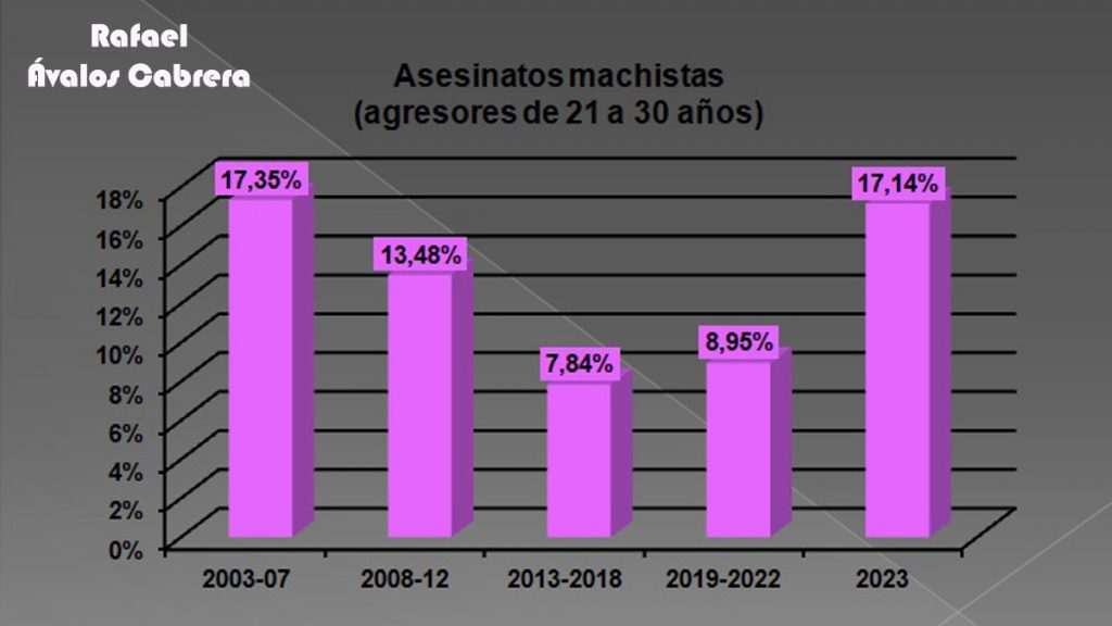 asesinatosmachistas-21a30-historico
