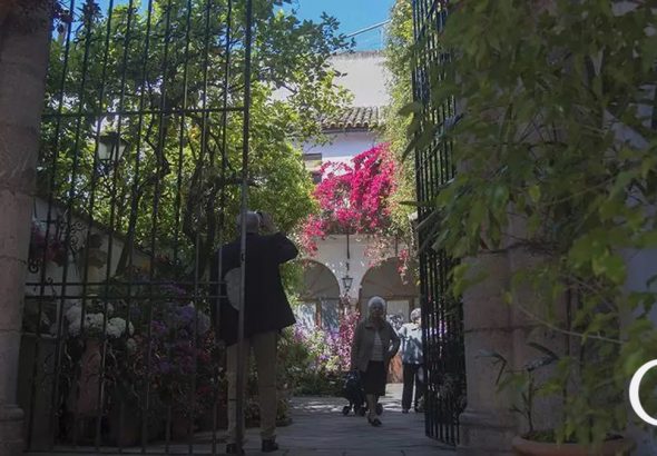 patios-lapalma3